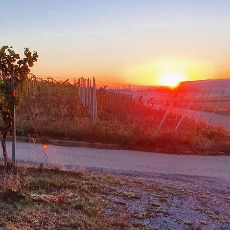 Weingut Will Und Wuerz Lemberger Apartment Schwaigern Bagian luar foto