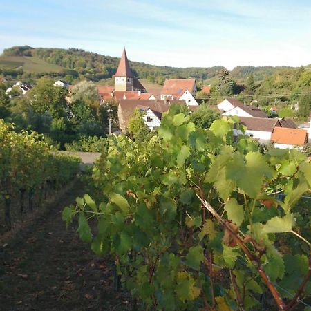 Weingut Will Und Wuerz Lemberger Apartment Schwaigern Bagian luar foto