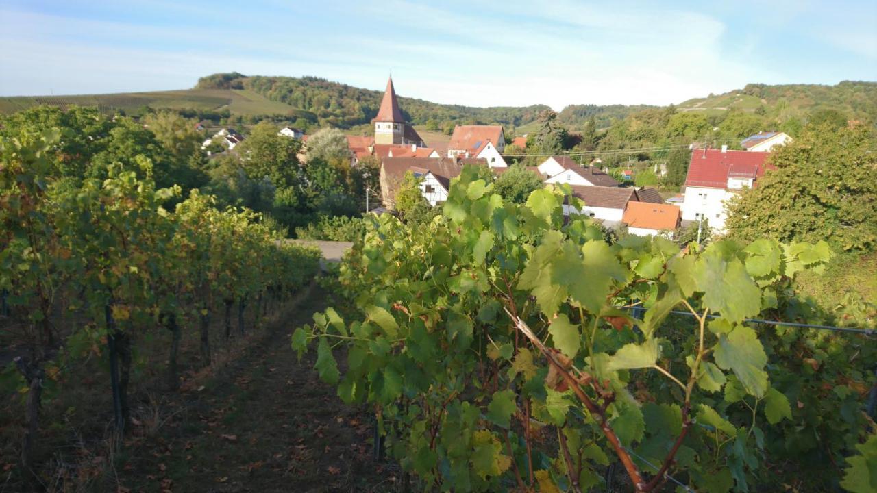 Weingut Will Und Wuerz Lemberger Apartment Schwaigern Bagian luar foto
